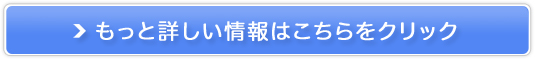lX@si̔TCg